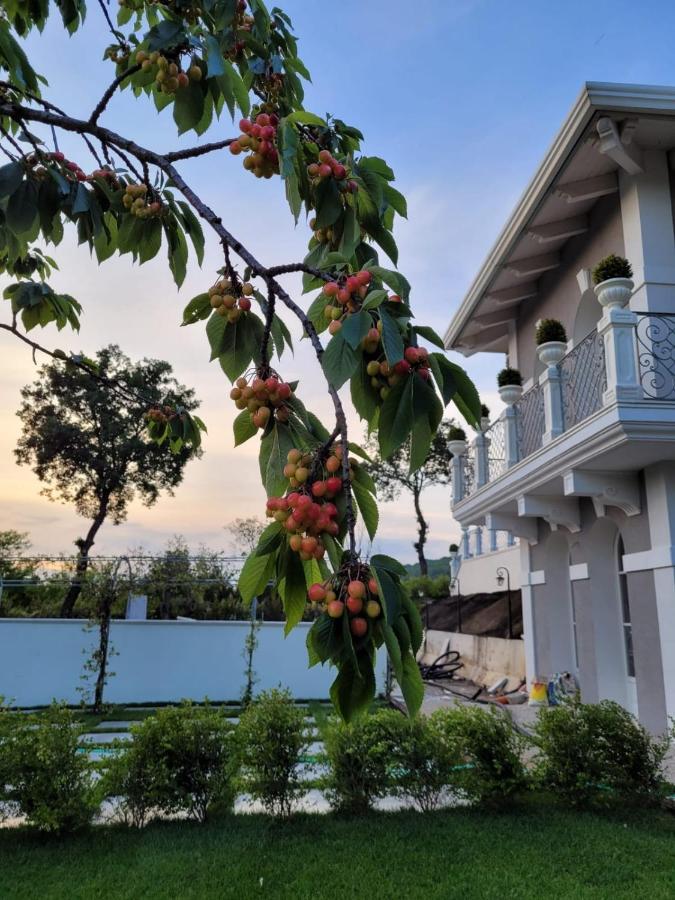 Tenuta Santo Stefano Azienda Agrituristica Santo Stefano del Sole Εξωτερικό φωτογραφία