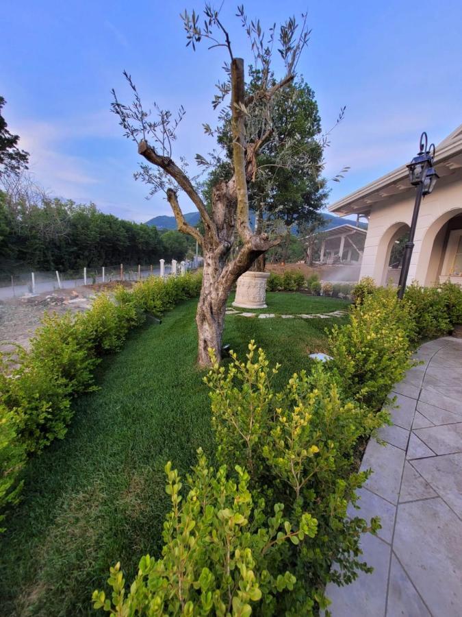 Tenuta Santo Stefano Azienda Agrituristica Santo Stefano del Sole Εξωτερικό φωτογραφία